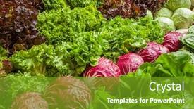  Presentation with cleansing - Presentation theme consisting of fresh-greens-at-a-farmers background and a tawny brown colored foreground