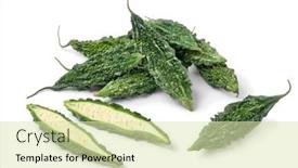  Presentation with bitter melon - Presentation theme enhanced with fresh-group-of-raw-fresh background and a soft green colored foreground