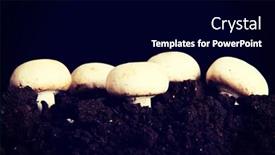  Presentation with growing up kids - Presentation with vagetables - fresh growing mashrooms background and a black colored foreground