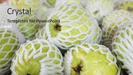  Presentation with guava - Slide set featuring fresh guava fruit stack background and a mint green colored foreground