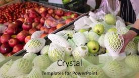  Presentation with guava - PPT layouts having fresh guava fruit stack background and a mint green colored foreground