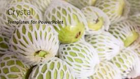  Presentation with guava - Presentation design featuring fresh guava fruit stack at the marketplace background and a mint green colored foreground