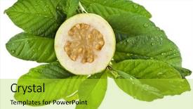  Presentation with green leaves - Amazing PPT layouts having grids curves and fractal element backdrop and a light blue colored foreground