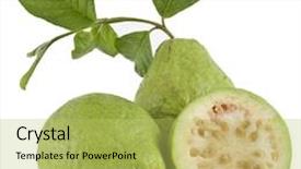  Presentation with guava - Amazing PPT theme having fresh guava fruit with leaves backdrop and a yellow colored foreground