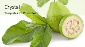  Presentation with guava - Slide deck with fresh guava fruit with leaves background and a yellow colored foreground