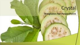  Presentation with guava - Slide set featuring fresh guava fruit with leaves background and a yellow colored foreground