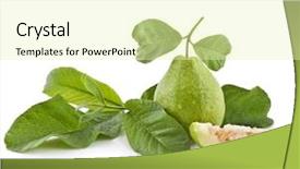  Presentation with guava - Amazing slide set having fresh guava fruit with leaves backdrop and a  colored foreground