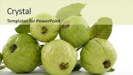  Presentation with guava - Audience pleasing slide set consisting of fresh guava fruit backdrop and a yellow colored foreground