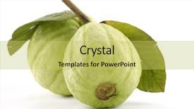  Presentation with guava - Cool new presentation theme with fresh guava fruit backdrop and a yellow colored foreground