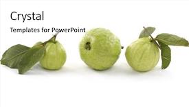  Presentation with guava - Amazing slides having fresh guava fruit backdrop and a white colored foreground