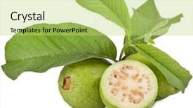  Presentation with guava fruits - Slide deck with fresh guava isolated on white background and a yellow colored foreground