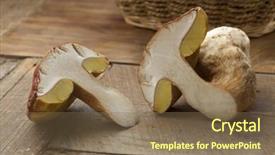  Presentation with spores - PPT layouts having fresh half porcini mushroom with yellow spores background and a violet colored foreground