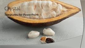  Presentation with cocoa beans - Amazing slide deck having fresh-halved-cocoa-fruit backdrop and a coral colored foreground