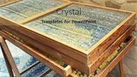  Presentation with pasta - Audience pleasing PPT layouts consisting of fresh-handmade-typical-orecchiette-pasta backdrop and a coral colored foreground