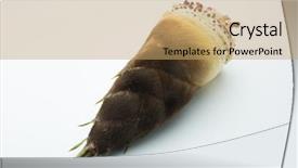  Presentation with fiber - Amazing slide deck having fresh harvested bamboo shoot backdrop and a coral colored foreground