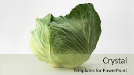  Presentation with skin color natural - Cool new theme with fresh harvested cabbage in natural backdrop and a mint green colored foreground