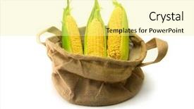 Presentation with corn cob - Cool new slide set with fresh harvested corn backdrop and a blonde colored foreground