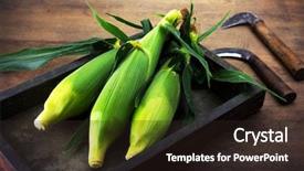  Presentation with harvesting energy - Presentation design featuring fresh harvested corns with husk background and a  colored foreground