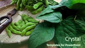  Presentation with soybean - Beautiful PPT theme featuring fresh harvested edamae soybean backdrop and a forest green colored foreground
