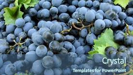  Presentation with free on genetically modified food - Audience pleasing slides consisting of fresh harvested grapes as food backdrop and a ocean colored foreground