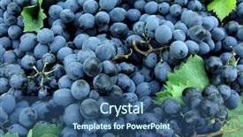  Presentation with food - Beautiful theme featuring fresh harvested grapes as food background backdrop and a ocean colored foreground