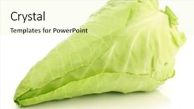 Presentation with cabbage - Slide deck enhanced with fresh harvested green pointed cabbage on a white background background and a soft green colored foreground