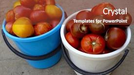  Presentation with grown - Colorful presentation theme enhanced with fresh harvested home grown tomatoes backdrop and a tawny brown colored foreground