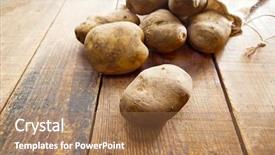 Presentation with spilling - PPT theme with fresh harvested potatoes in sunlight background and a coral colored foreground