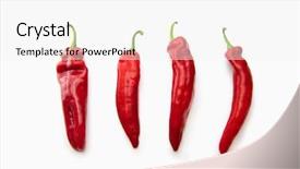  Presentation with sweet - Slide set featuring fresh harvested sweet pointed peppers background and a white colored foreground