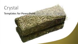  Presentation with domestic animals - Cool new PPT layouts with fresh-hay-dry-grass-cube backdrop and a white colored foreground