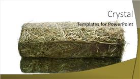  Presentation with domestic animals - Audience pleasing slide deck consisting of fresh-hay-dry-grass-cube backdrop and a white colored foreground