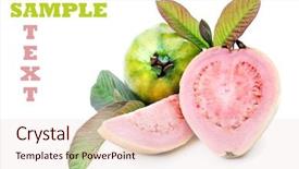  Presentation with pure white - PPT layouts consisting of fresh healthy pink guava fruit background and a lemonade colored foreground