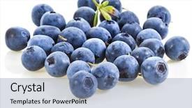  Presentation with blueberry - Presentation enhanced with fresh heap blueberry closeup macro background and a  colored foreground
