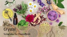  Presentation with aromatherapy oil - Cool new PPT theme with fresh herbs and flower backdrop and a coral colored foreground