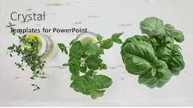  Presentation with home gardening - Colorful theme enhanced with fresh-herbs-at-kitchen-countertop backdrop and a soft green colored foreground