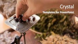  Presentation with alternative medicine - Slide set enhanced with herbalist gardender small business owner background and a  colored foreground