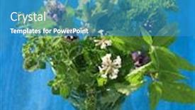  Presentation with herbs - Presentation theme with fresh-herbs-from-garden and a teal colored foreground