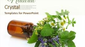  Presentation with herbs - Slide set having fresh herbs in a medical background and a cream colored foreground