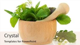  Presentation with fresh water splash green apple isolated white - Colorful presentation theme enhanced with fresh herbs in mortar isolated backdrop and a coral colored foreground