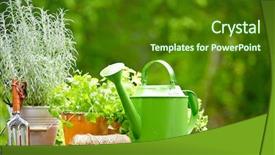 Presentation with garden tools - Slides with fresh herbs in wooden box with garden tools on terrace background and a tawny brown colored foreground