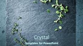  Presentation with slate - Cool new presentation theme with fresh-herbs-on-a-black backdrop and a ocean colored foreground
