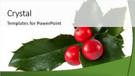  Presentation with tea leaves fresh green leaf - Amazing slides having fresh holly leaves and red backdrop and a white colored foreground