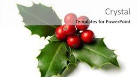  Presentation with holly - 