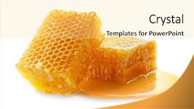  Presentation with honeycomb - Audience pleasing presentation design consisting of fresh honeycombs on white background backdrop and a blonde colored foreground