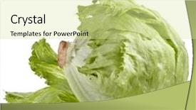  Presentation with lettuce - Beautiful presentation featuring fresh iceberg lettuce salad isolated backdrop and a blonde colored foreground