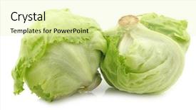 Presentation with lettuce - Amazing PPT layouts having fresh iceberg lettuce backdrop and a soft green colored foreground