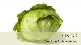  Presentation with iceberg - Presentation theme with fresh iceberg salad isolated background and a soft green colored foreground
