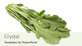  Presentation with japanese - Presentation theme featuring fresh-japanese-mizuna-on-white background and a mint green colored foreground