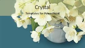  Presentation with jasmine - PPT layouts with fresh jasmine flowers on color background and a blonde colored foreground