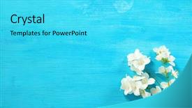  Presentation with jasmine - Theme enhanced with fresh jasmine flowers on wooden background background and a cyan colored foreground